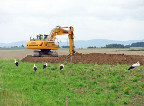 Hass Landschaftsarchitekten aus Radeberg - Umweltbaubegleitung