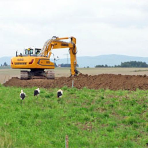 Hass Landschaftsarchitekten aus Radeberg - Umweltbaubegleitung