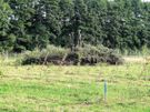 Hass Landschaftsarchitekten aus Radeberg - Landschaftspflege