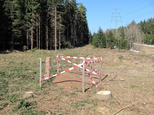 Hass Landschaftsarchitekten aus Radeberg - Umweltbaubegleitung