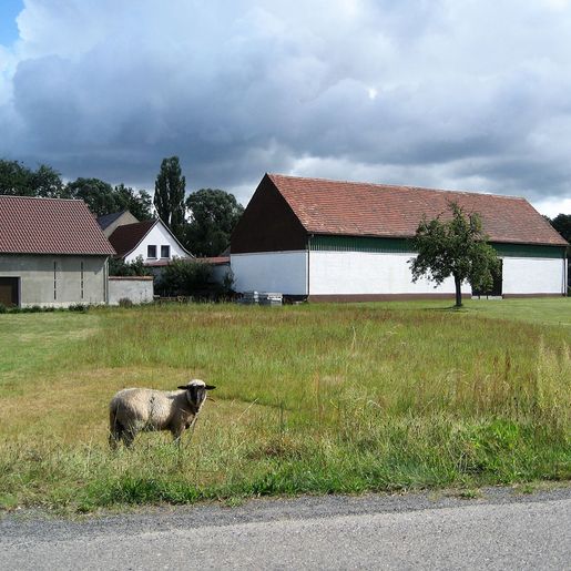 Hass Landschaftsarchitekten aus Radeberg - Bauleitplanung