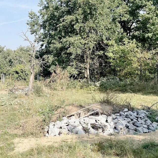 Hass Landschaftsarchitekten aus Radeberg - Ökologische Gutachten