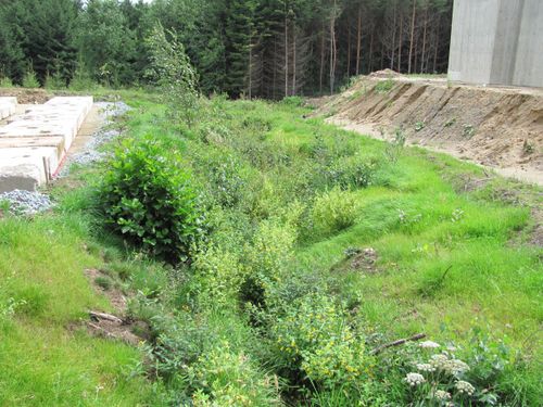 Hass Landschaftsarchitekten aus Radeberg - Umweltbaubegleitung