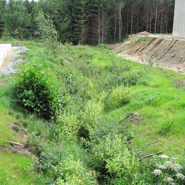 Hass Landschaftsarchitekten aus Radeberg - Umweltbaubegleitung