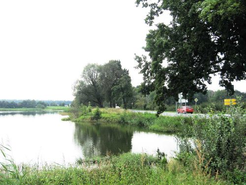 Hass Landschaftsarchitekten aus Radeberg - Ökologische Gutachten