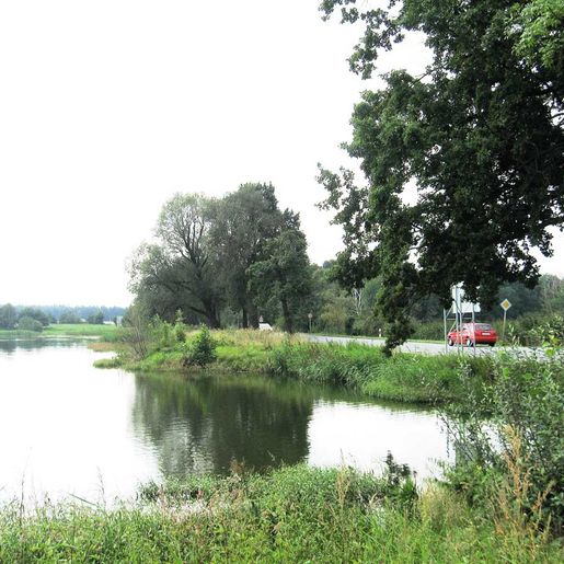 Hass Landschaftsarchitekten aus Radeberg - Ökologische Gutachten