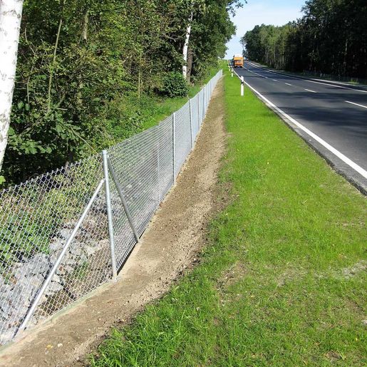 Hass Landschaftsarchitekten aus Radeberg - Landschaftspflege