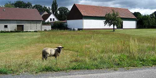 Hass Landschaftsarchitekten aus Radeberg - Bauleitplanung