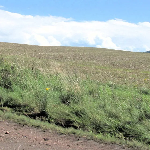 Hass Landschaftsarchitekten aus Radeberg - Landschaftsplanung