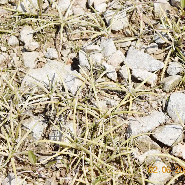 Hass Landschaftsarchitekten aus Radeberg - Landschaftsplanung