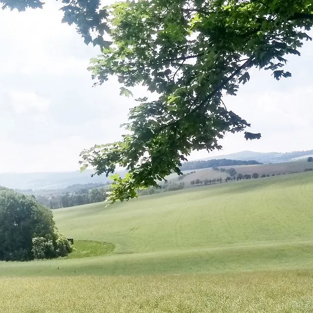 Hass Landschaftsarchitekten aus Radeberg - Landschaftsplanung