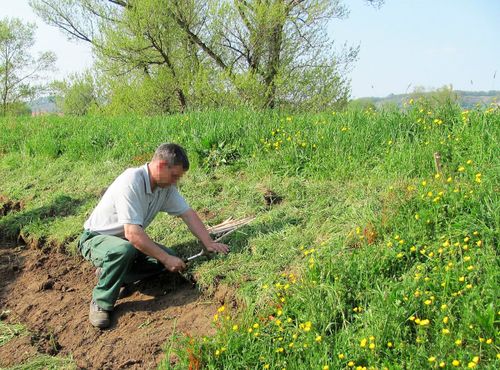 Hass Landschaftsarchitekten aus Radeberg - Umweltbaubegleitung
