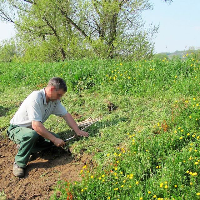 Hass Landschaftsarchitekten aus Radeberg - Umweltbaubegleitung