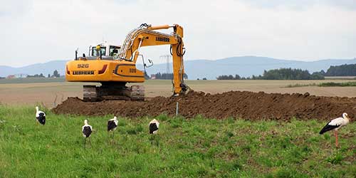 Hass Landschaftsarchitekten aus Radeberg - Umweltbaubegleitung