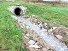 Hass Landschaftsarchitekten aus Radeberg - Landschaftspflege