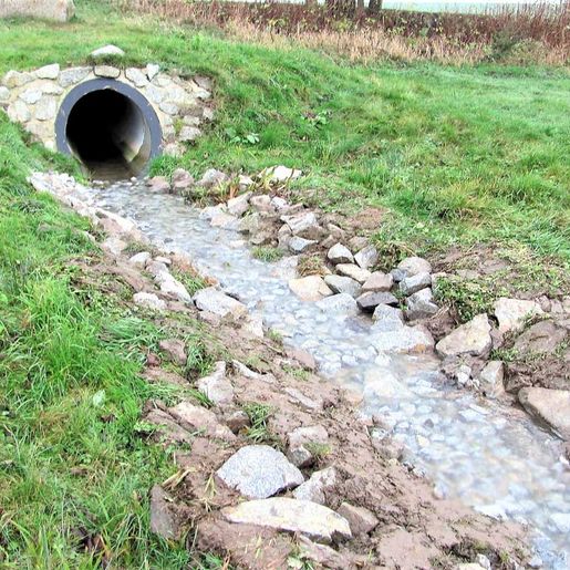 Hass Landschaftsarchitekten aus Radeberg - Landschaftspflege