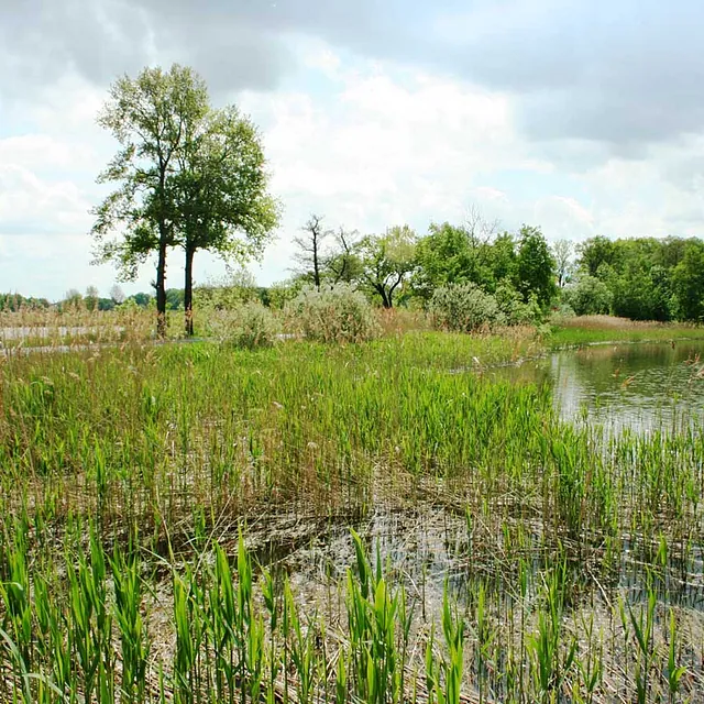 Hass Landschaftsarchitekten aus Radeberg - Landschaftsplanung