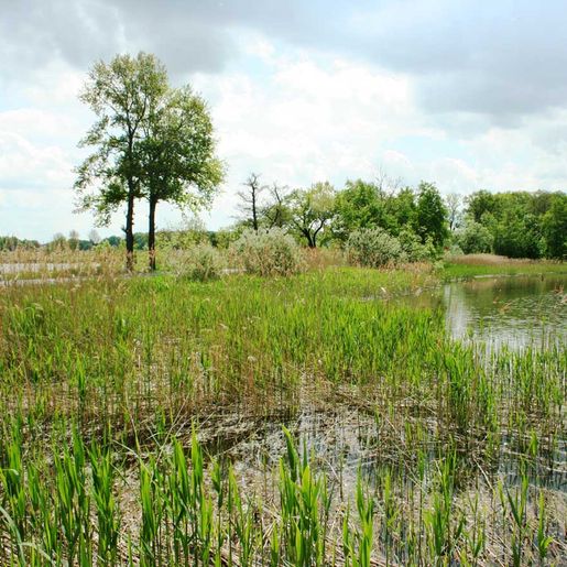 Hass Landschaftsarchitekten aus Radeberg - Landschaftsplanung